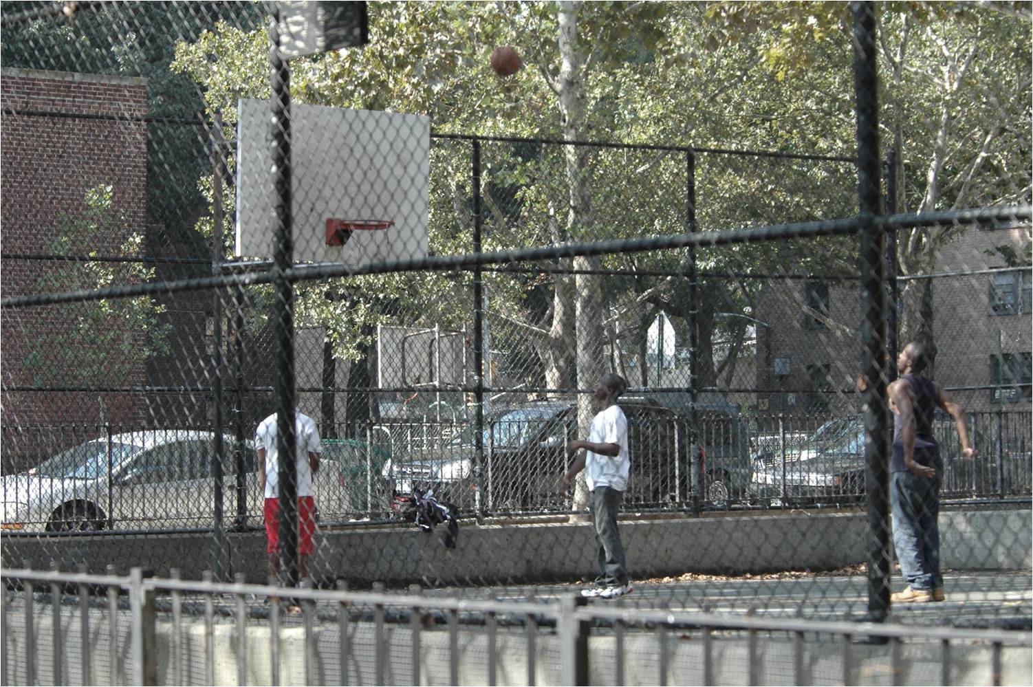 Marijuana Arrest Project