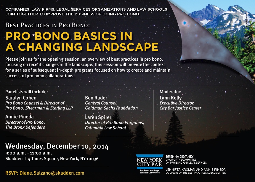 Pro Bono Basics in a Changing Landscape